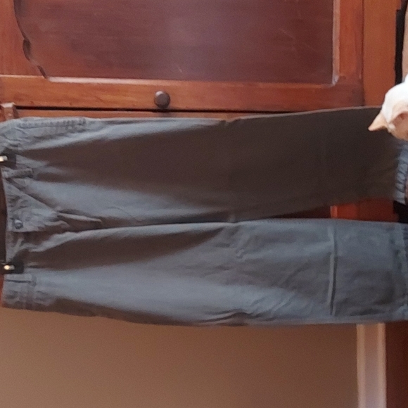 Gap Flat Front Pants - Picture 1 of 2